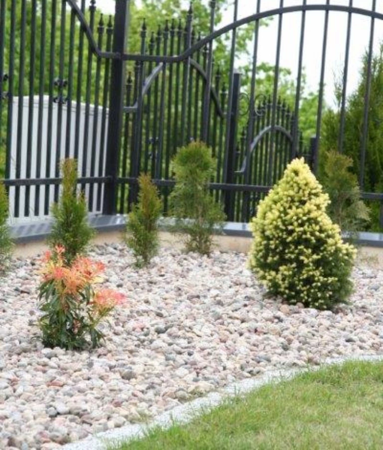 krzewy przy bramie